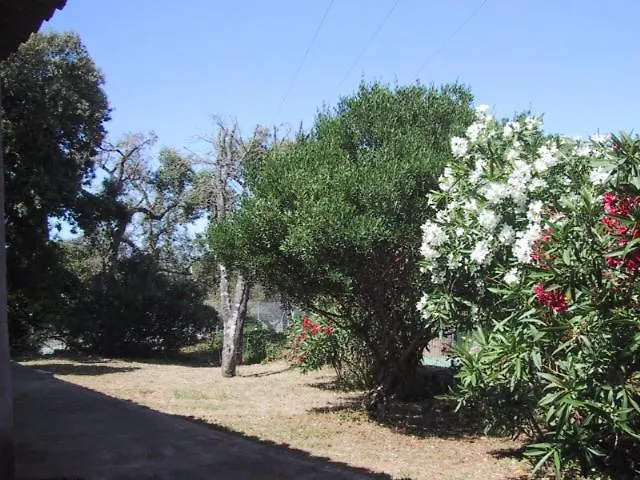 Locations A Suara Lägenhet *